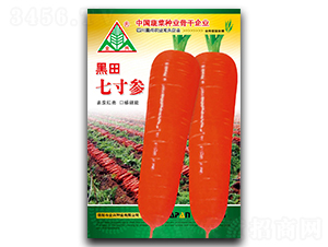 �����ߴ煢-���}���N��-ȫ�d�N�I