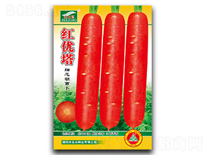 �t����-���}���N��-ȫ�d�N�I