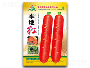 ���ؼt������-���}���N��-ȫ�d�N�I