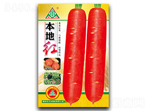 ���ؼt���}���N��-ȫ�d�N�I