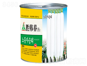 ���n��-�L���}���N��-ȫ�d�N�I