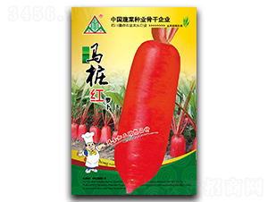 �R���t-�L�tƤ�}���N��-ȫ�d�N�I(y��)