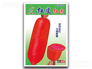 �tƤ�t��-�t���}���N��-ȫ�d�N�I(y��)