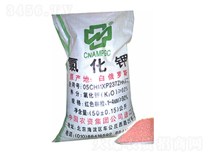 �Ȼ��-���r�r�Y