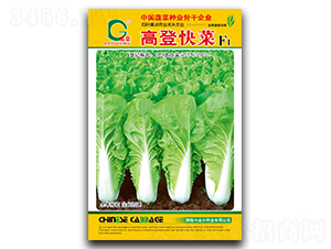 �ߵǿ��-��˷N��-ȫ�d�N�I