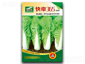 ���365-��˷N��-ȫ�d�N�I