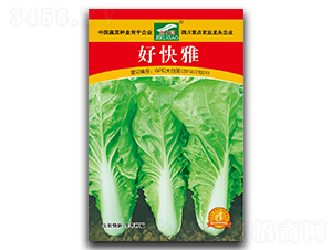 �ÿ���-��˷N��-ȫ�d�N�I