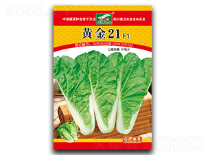 �S��21-��˷N��-ȫ�d�N�I