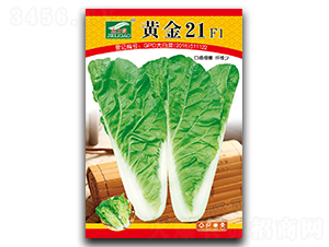 30g�S��21-��˷N��-ȫ�d�N�I