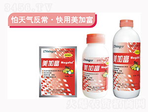 ���Ӹ��������߄�-��ʿ�r�I