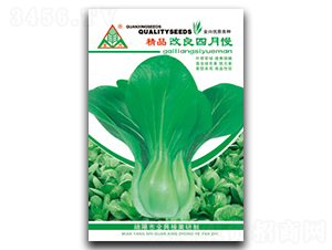 ����������-�๣�˷N��-ȫ�d�N�I