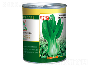 �A�ľG�ڣ��ޣ�-�๣�˷N��-ȫ�d�N�I