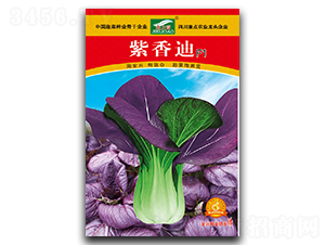 �����-�๣�˷N��-ȫ�d�N�I