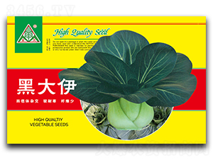 �ڴ���-�๣�˷N��-ȫ�d�N�I