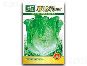 ���_������-���˷N��-ȫ�d�N�I