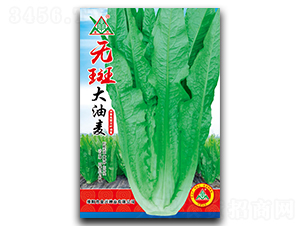 �o�ߴ�����-�����˷N��-ȫ�d�N�I