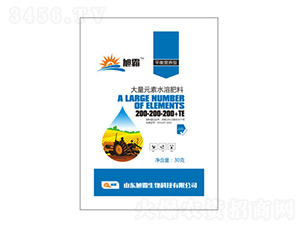 ƽ��I�B�ʹ���Ԫ��ˮ�ܷ�200-200-200+TE-�������