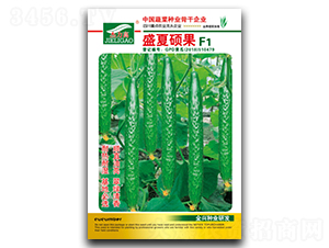 ʢ�ĴT��-�S�ϷN��-ȫ�d�N�I