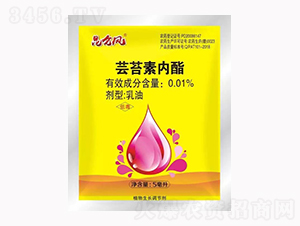 �|̦�؃���-�����_