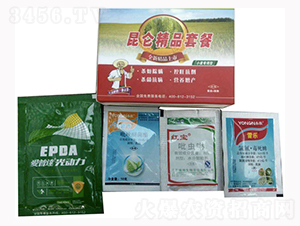 ����С�������ײ�-�����_