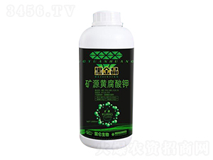 �VԴ�S�����-�ڽ�-�����_