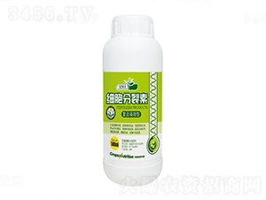 ���������أ�ƿ��-�|���S 