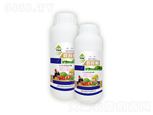 �|̦�أ�ƿ��-�|���S