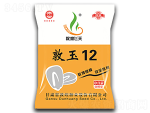 ����12-���׷N��-�ػͷN�I