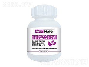 �������߄�-�{��-�ְ�ʘI