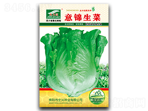 ���\����-���˷N��-ȫ�d�N�I