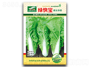 �G�쌚��˷N��-ȫ�d�N�I