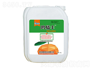 ̼ø�������ԭҺ-�Q���S-��ٝ