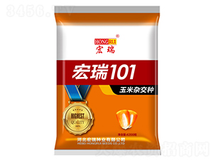 ����101���ȣ�-���׷N��-����N�I