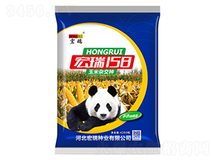 ����158���{��-���׷N��-����N�I