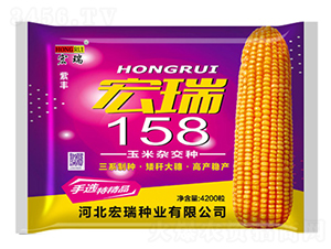 ����158������-���׷N��-����N�I(y��)