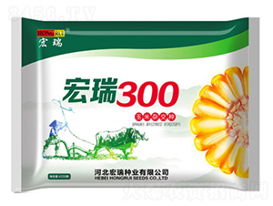 ����300-���׷N��-����N�I