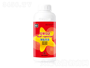 花果馬達-葉碧特