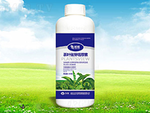 ���~��ѿ�ߺ���-����