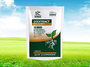 ������-������-����