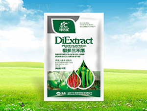 ����������-������-����