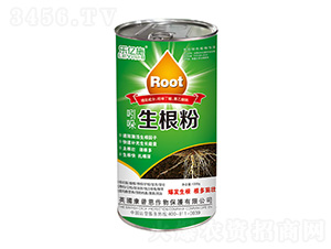 ����������-���|ʩ-�Z����