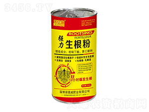 ����������-�Z����