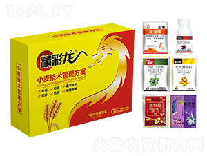 С�����g��������-������-����r�I