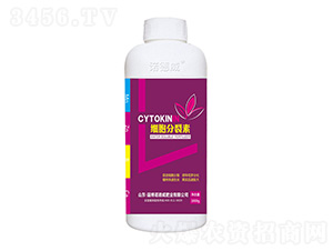 ����������-�Z���� 