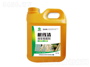 ������΢�������-��Ʒ����