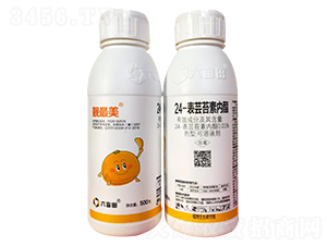 24-���|̦�؃���-������