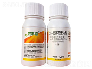 24-���|̦�؃���-�|�Sϲ-������