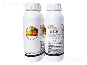 450��/�����r��ˮ�鄩-�r(sh��)�혷-������