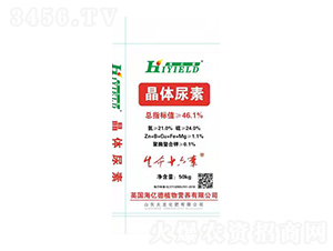 ���w���@-��������