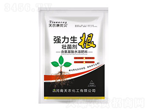 �����������焩-���r����ؐ-���r����